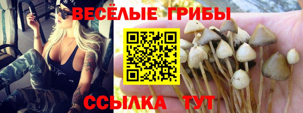 Псилоцибиновые грибы GOLDEN TEACHER  Вход с VPN  Вязьма 